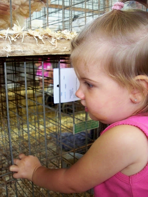 One year old loves chickens