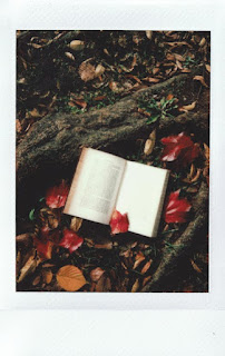 Rozłożona książka na tle liści i gałęzi w kolorach jesiennych
