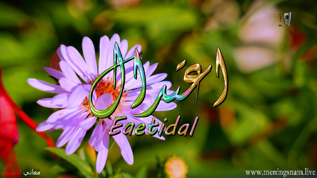 معنى اسم, اعتدال, وصفات, حاملة, هذا الاسم, Eatidal,