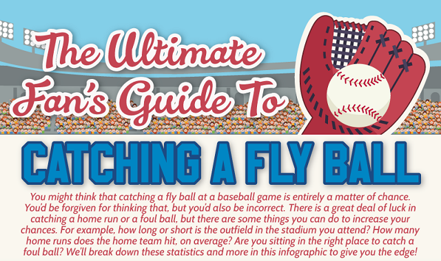 The Ultimate Fan's Guide to Catching a Fly Ball