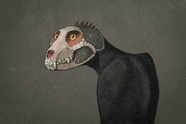 How ordinary animals would look if they were recreated like dinosaurs - Over skeletons