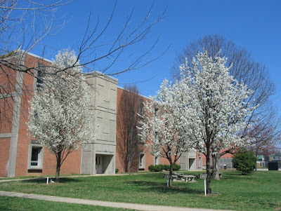 Male High School March 2009
