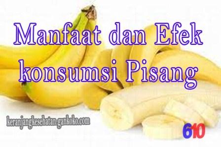 https://keranjangkesehatan.gankoko.com/2023/01/manfaat-dan-efek-konsumsi-pisang.html