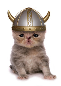 kitten wearing a toy viking helmet