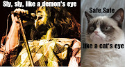 Grumpy cat meets Deep Purple. Grumpy cat meets Deep Purple