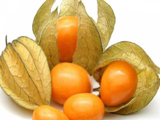 Cape gooseberry fruit images wallpaper