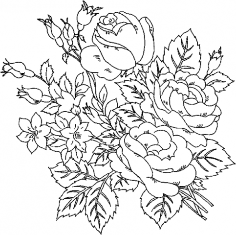 Pictures Of Flowers For Colouring