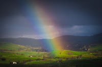 Rainbow life - Photo by Jonny Gios on Unsplash