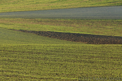 patchwork campagne champ Seine-et-Marne