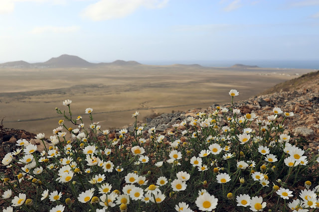 Lanzarote travel guide - what to do and what to see