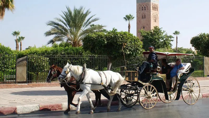 المغرب