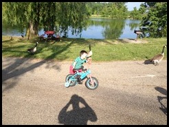 IMG_0205