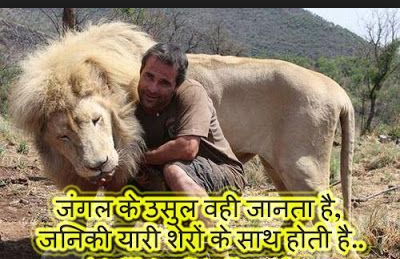 Animal love lion whatsapp status 