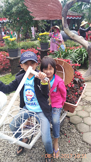 Kebun Begonia Lembang