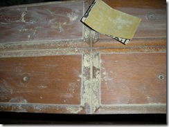 DSCN0306