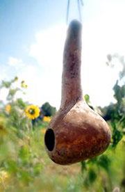 Backyard Craft: Gourd Birdhouse