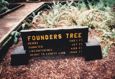 Founders Tree Sign on March 19, 1992