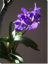clip_image053