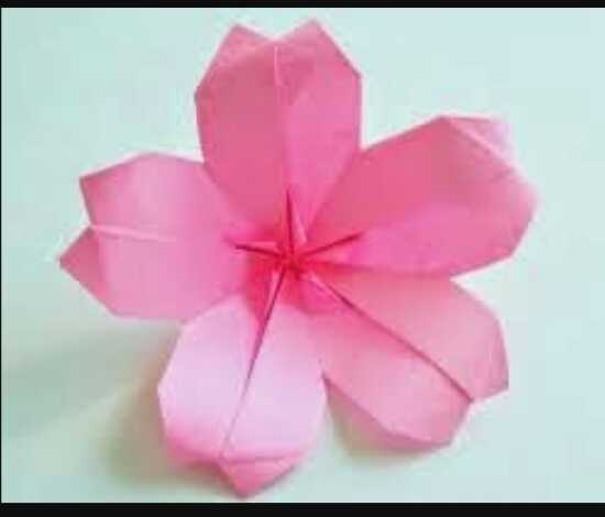  Cara  Membuat Origami  Bunga  Sakura  Dengan Mudah Beserta 