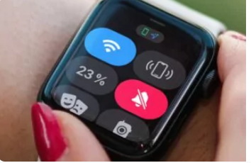 personalizar el centro de control en Apple Watch