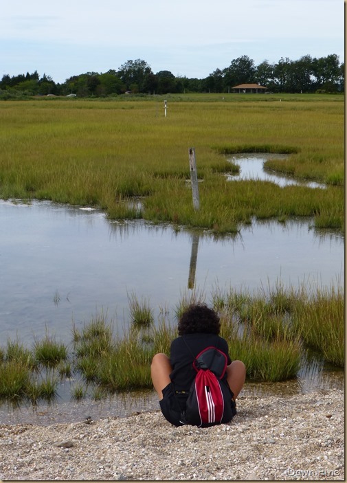 Hammonasset SP_067