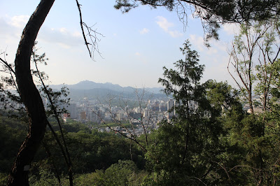 View going up the Namsan Trail