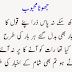 Jhoota Mehboob, Urdu Funny Poetry, New Urdu Funny Poetry,