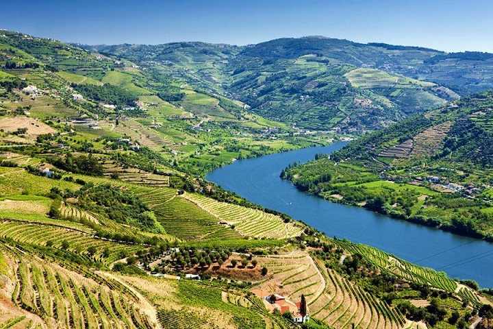  Mengenal Douro, Sawah Terindah di Portugal