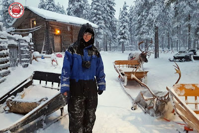 Visita a granja de renos en Rovaniemi, Finlandia