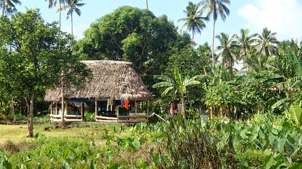 P6042297