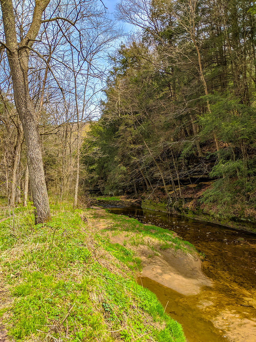 Honey Creek with sandstone cliffs and hemlock forest on the opposite bank