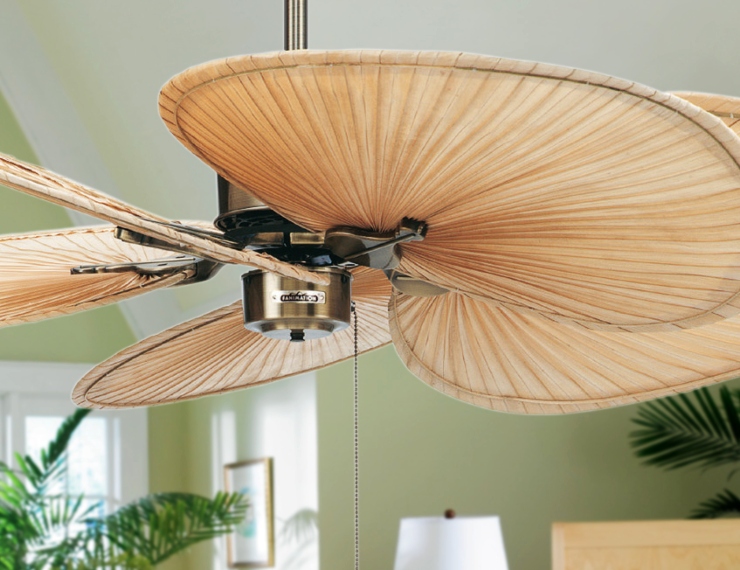 Coastal Ceiling Fans with Natural Palm Blades