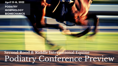 Equine Podiatry Conference