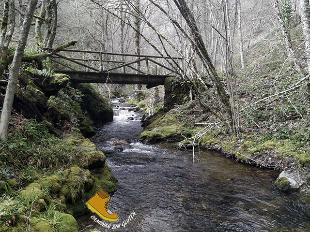 PUENTE SOBRE EL RIO MUNIELLOS