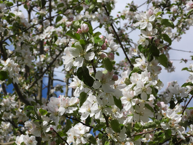 Blommor och blader är aldrig fel.