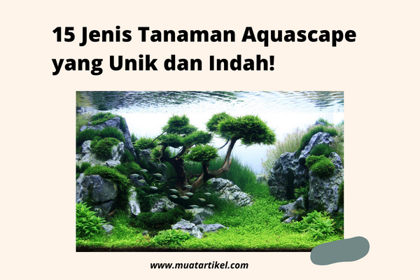 Tanaman Aquascape