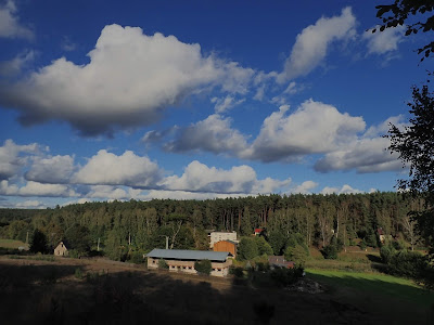 grzyby 2019, grzyby we wrześniu, grzyby w Borach Tucholskich