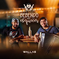 Download Música Bebendo pra Esquecer - Wallas Arrais e Raí Saia Rodada Mp3