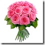 12PinkRoses