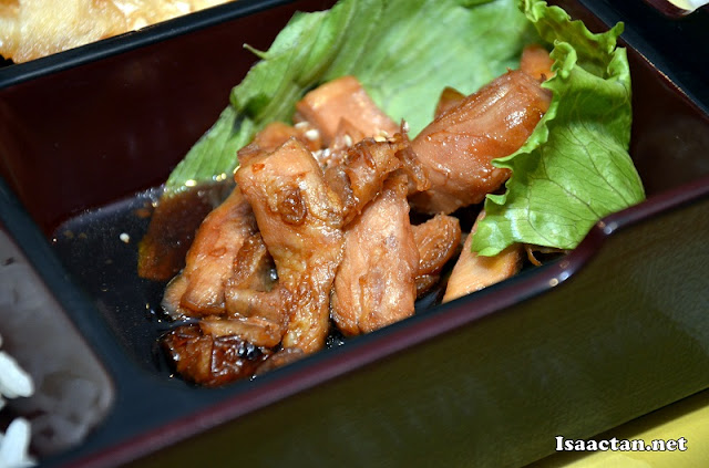 Chicken meat in teriyaki sauce