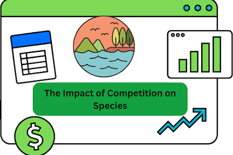 The Impact of Competition on Species,Ecological Niches