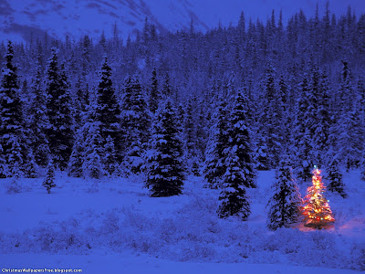 Christmas Nature View HD Desktop Wallpapers