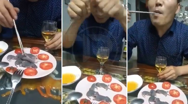 (Video) 'Sedap, sedap!' - Tak peduli wabak koronavirus, lelaki ini telan anak tikus hidup-hidup