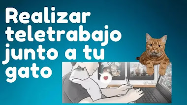 4 consejos para realizar teletrabajo junto a tu gato