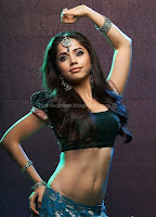 Aparna, sharma, hot, sexy, navel, show, pics
