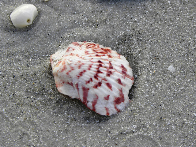 Naples Beach