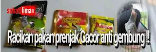 prenjak,prenjak lumut,prenjak gacor,prenjak betina,prenjak tamu,prenjak klawu,prenjak lumut jantanracikan prenjak,racikan pakan prenjak kepala merah,racikan pakan prenjak,racikan pakan prenjak agar cepat gacor,racikan prenjak biar gacor,racikan minuman prenjak,racikan pakan prenjak lumut,prenjak gembung,cara mengatasi prenjak gembung,penyebab burung prenjak gembung,mengatasi prenjak gembung,ramuan agar burung prenjak gacor,ramuan agar prenjak cepat gacor,ramuan untuk prenjak agar gacor,Cara cepat burung prenjak bahan cepat gacor solusinya gimana,