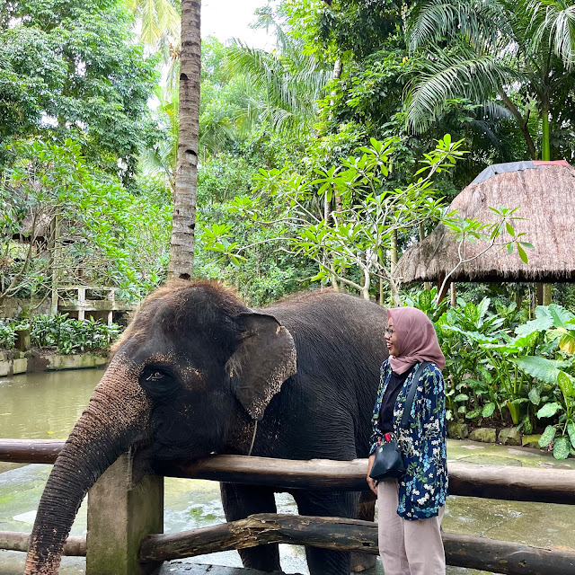 Aku berpose di samping gajah