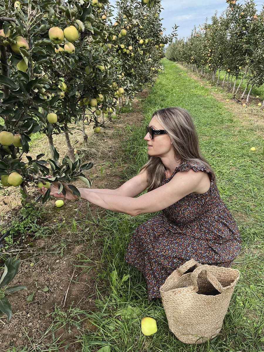 Apple Barn at Taves Family Farms