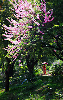 Buddhist Nun at Sagaing and colors